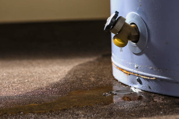 Best Water damage contractors near me  in Hartford, WI
