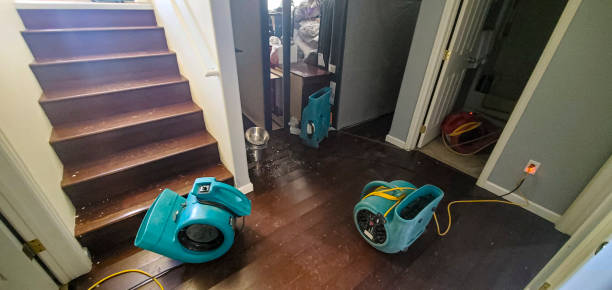 Best Basement water damage restoration  in Hartford, WI