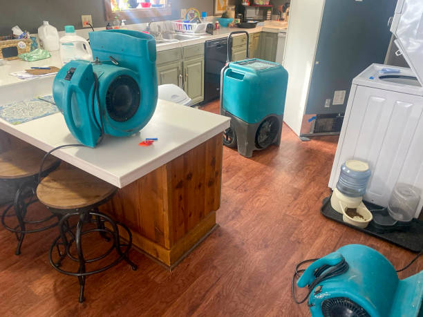 Best Sewage cleanup and water damage restoration  in Hartford, WI