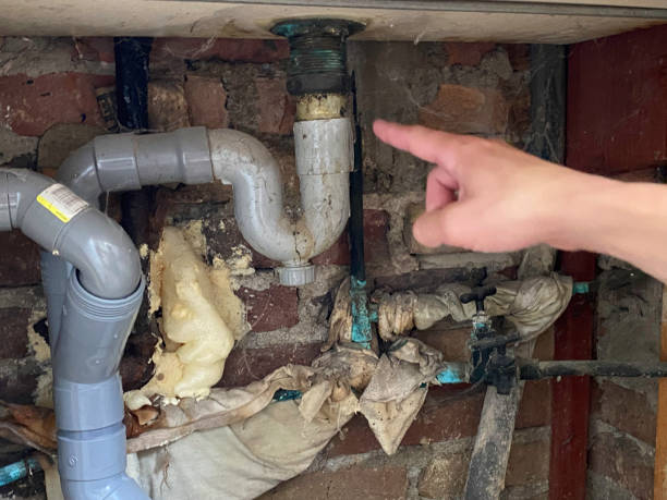 Best Flooded house restoration  in Hartford, WI