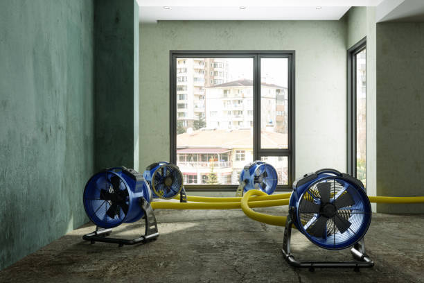 Best Sewage cleanup and water damage restoration  in Hartford, WI