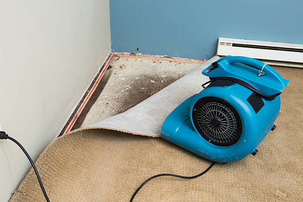 Best Water damage restoration near me  in Hartford, WI