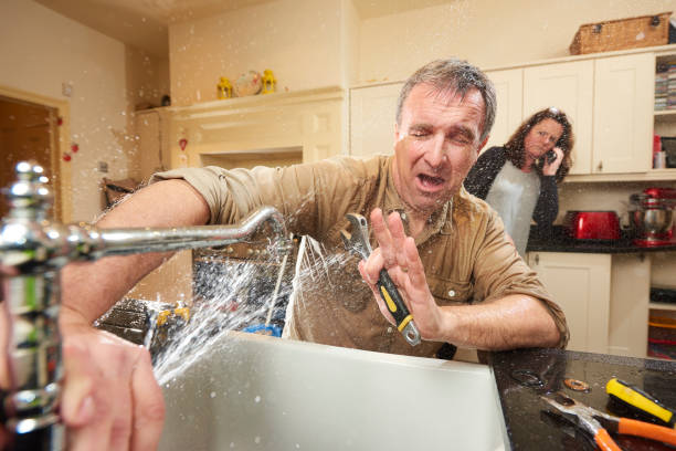Best Professional water damage repair  in Hartford, WI